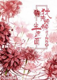 犹抱蹄髈半遮面封面