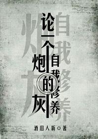论一个炮灰的自我修养封面