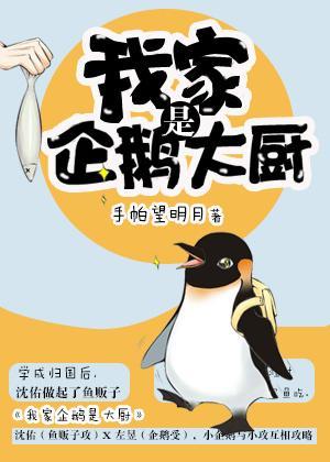 小企鹅求爱日记封面