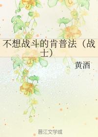 不想战斗的肯普法封面