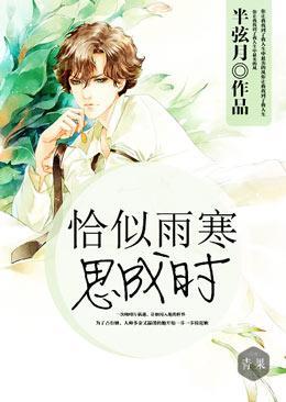 恰似雨寒思成时封面