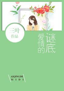 爱情的谜底封面