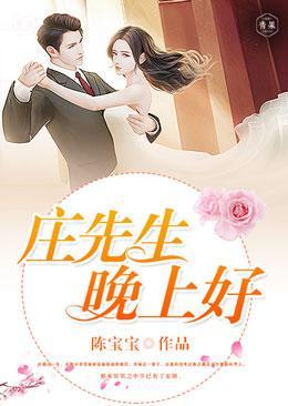 庄先生，晚上好封面