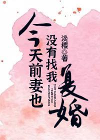 今天前妻也没找我覆婚封面