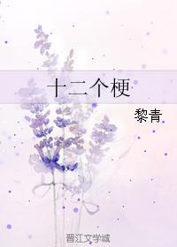 十二个梗封面