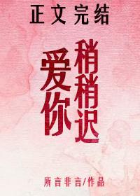 爱你稍稍迟封面