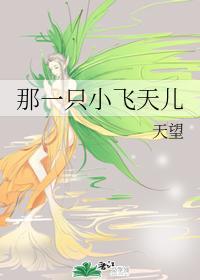 那一只小飞天儿封面