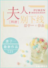 [网游]夫人，别下线封面