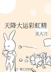 天降大运彩虹精封面