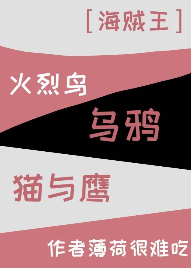 火烈鸟、乌鸦、猫与鹰封面