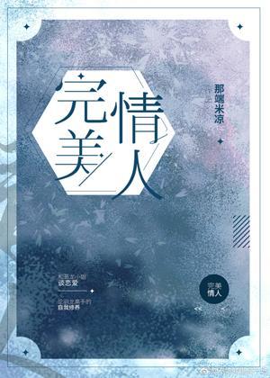 完美情人封面