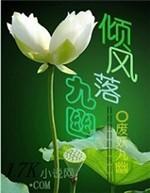 倾风落九幽封面