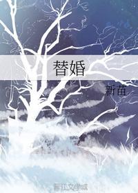 替婚封面