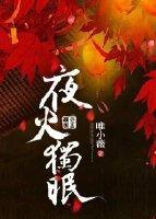 夜火独眠封面