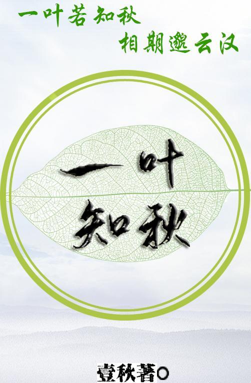 一叶知秋封面