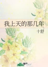我上天的那几年封面