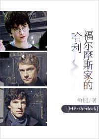 福尔摩斯家的哈利封面