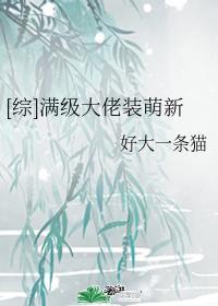 [综]满级大佬装萌新封面