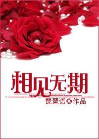 相见无期封面