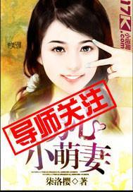 窃心小萌妻封面
