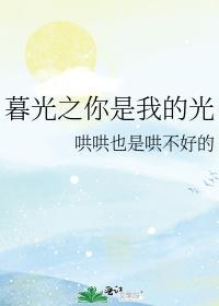暮光之你是我的光封面