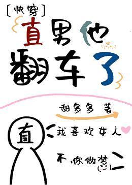 直男他翻车了（快穿）封面
