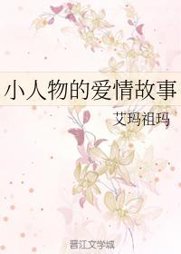 小人物的爱情故事封面