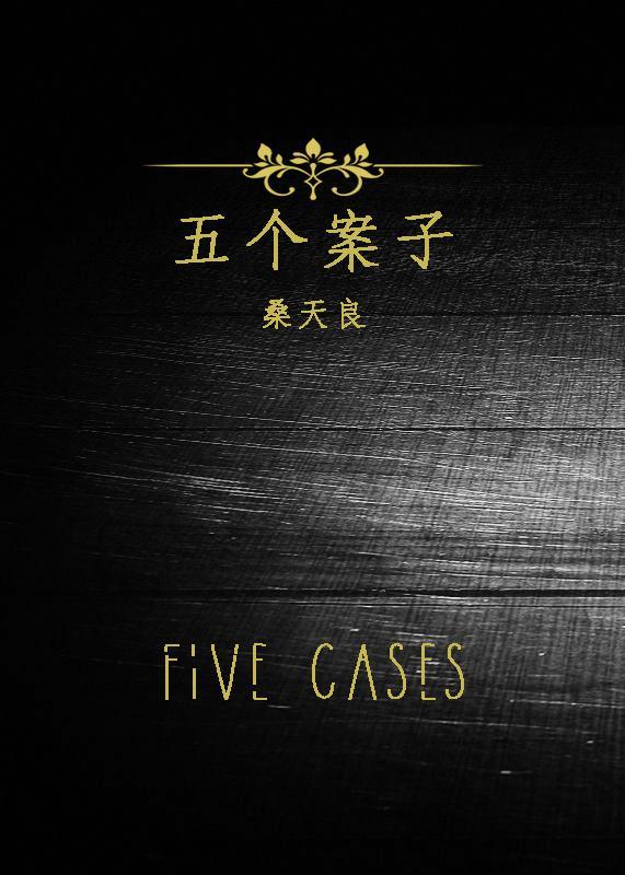 五个案子封面