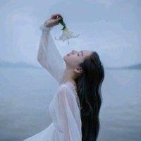何以陌路笙歌封面