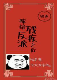 嫁给残疾反派之后封面