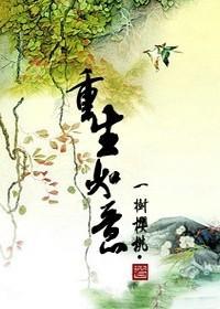 重生如意封面