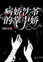 病娇沈爷的掌中娇封面