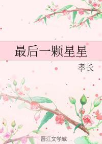 最后一颗星星封面
