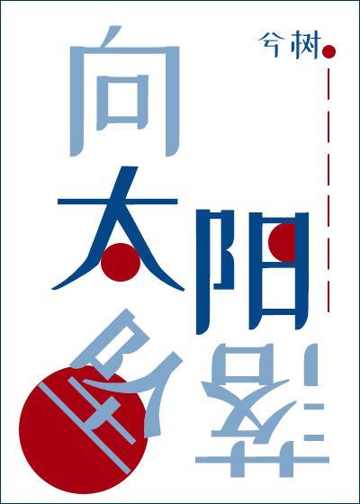 向太阳坠落封面