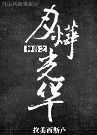神兽之月烨光华封面