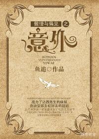 傲慢与偏见之意外封面