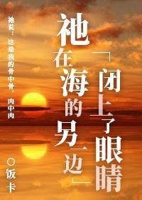祂在海的另一边闭上了眼睛封面