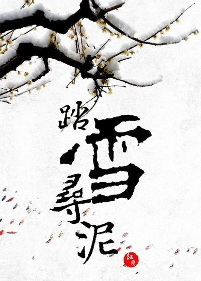 踏雪寻泥封面