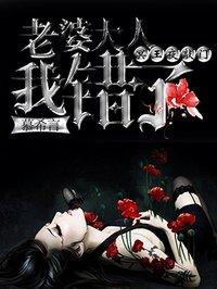 冥王夜敲门：老婆大人我错了封面