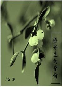槲寄生的爱情封面