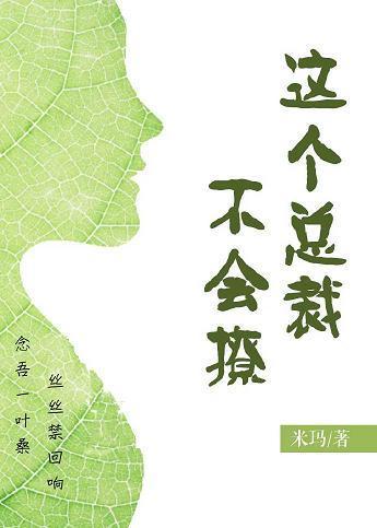 这个总裁不会撩（GL）封面