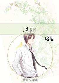 风雨封面