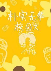 朴实无华校园文封面