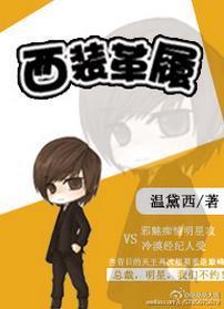 西装革履（娱乐圈）封面