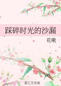 踩碎时光的沙漏封面