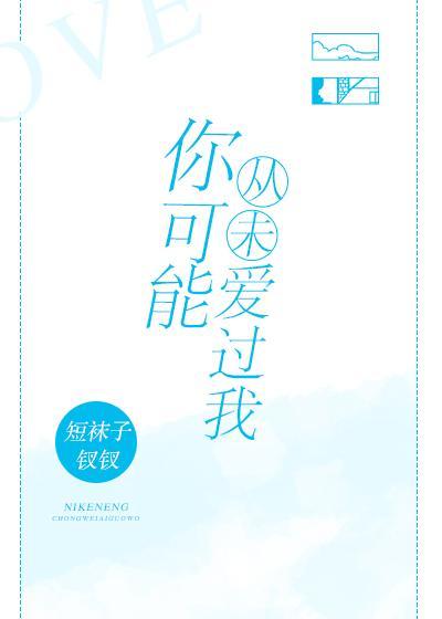 你可能从未爱过我封面