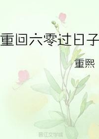 重回六零过日子封面