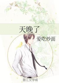 天晚了封面