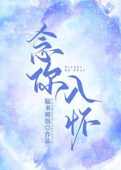 念你入怀封面