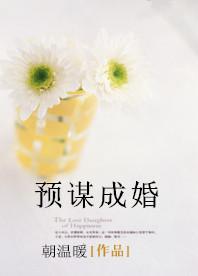 预谋成婚封面